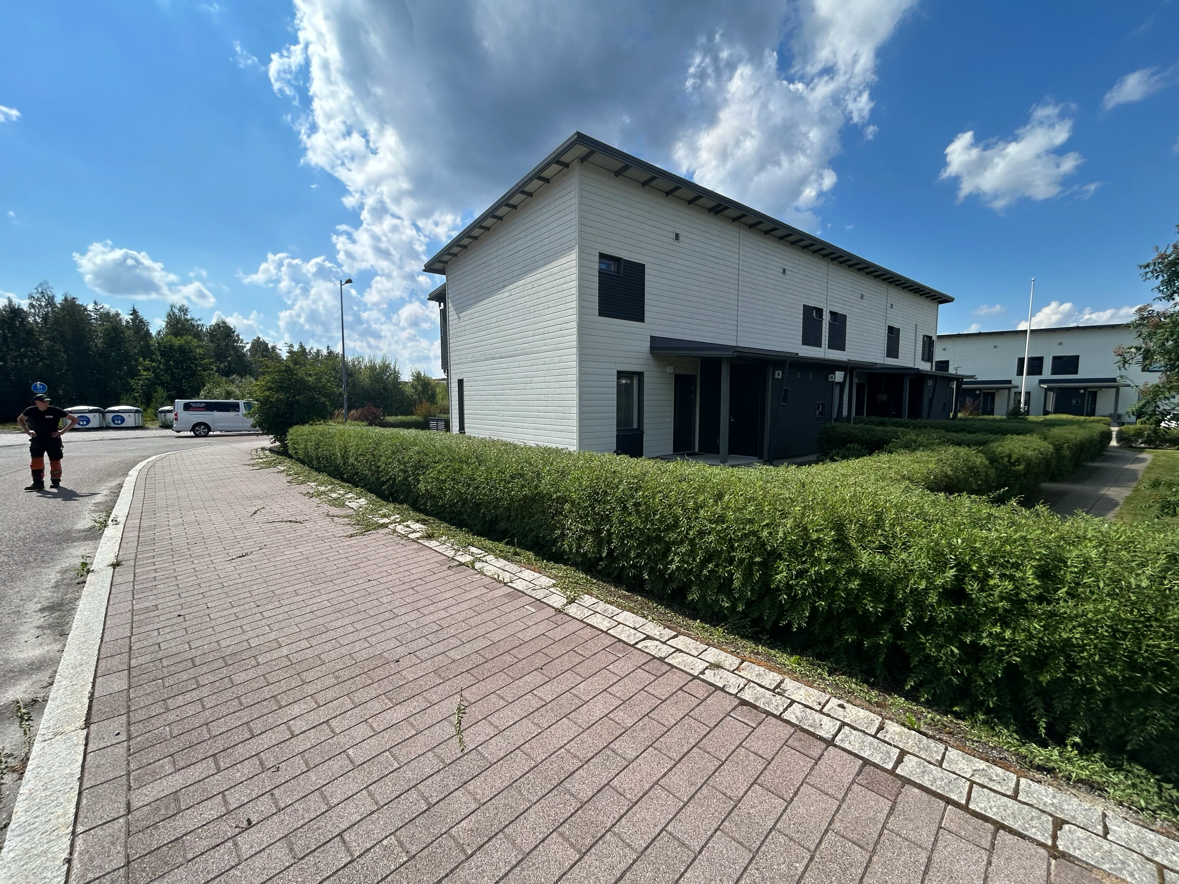 Pensasaita leikattuna