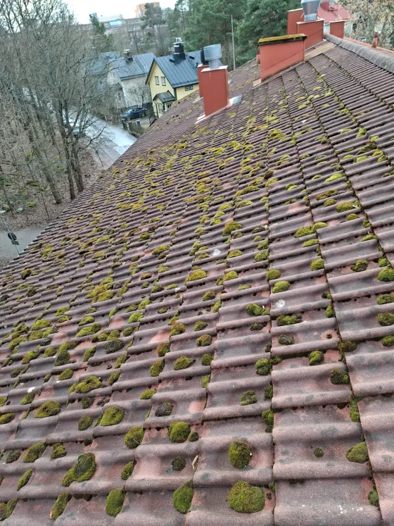Sammaloitunut tiilikatto — lika ja kasvusto lyhentävät katon käyttöikää
